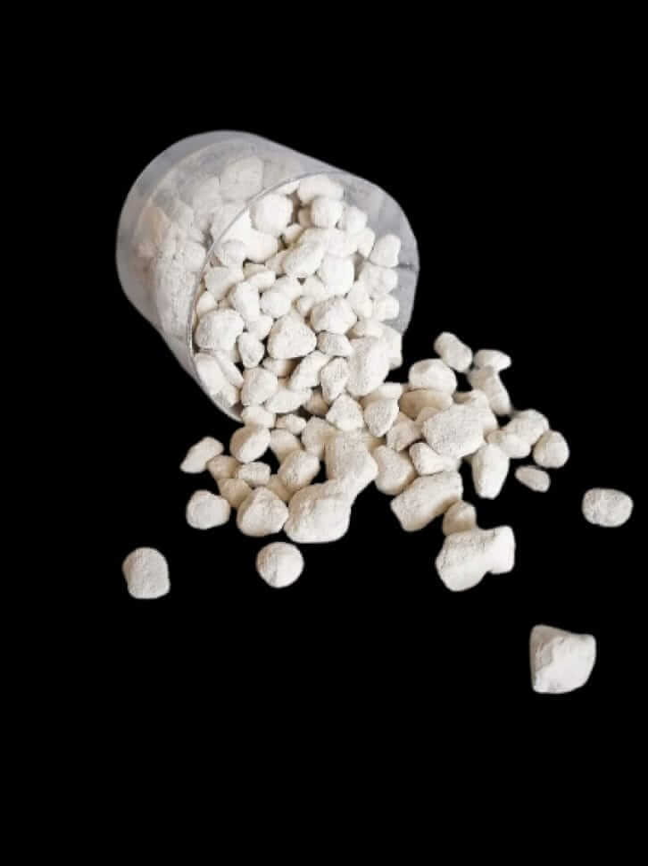 Craie de gerbil 100 grammes